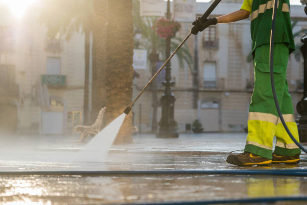 Best Local Pressure Washing Services  in Stevensville, MI